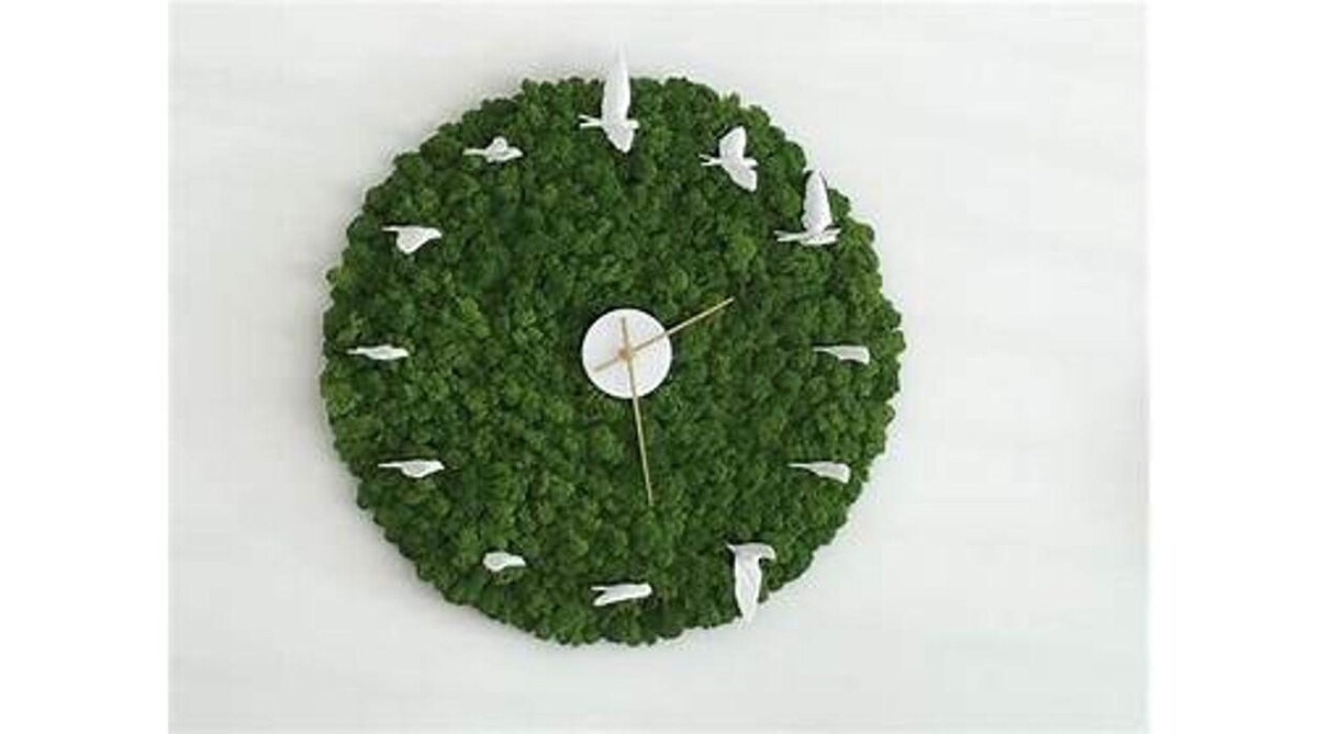 Bilder Strenz Living GmbH&Co.KG