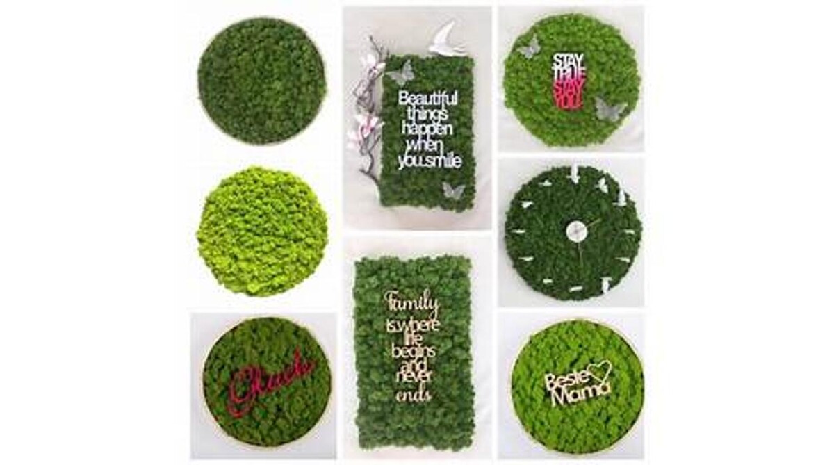 Bilder Strenz Living GmbH&Co.KG