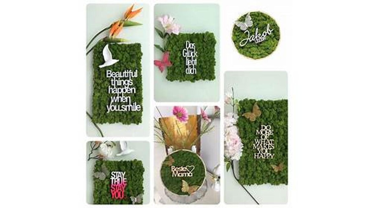 Bilder Strenz Living GmbH&Co.KG