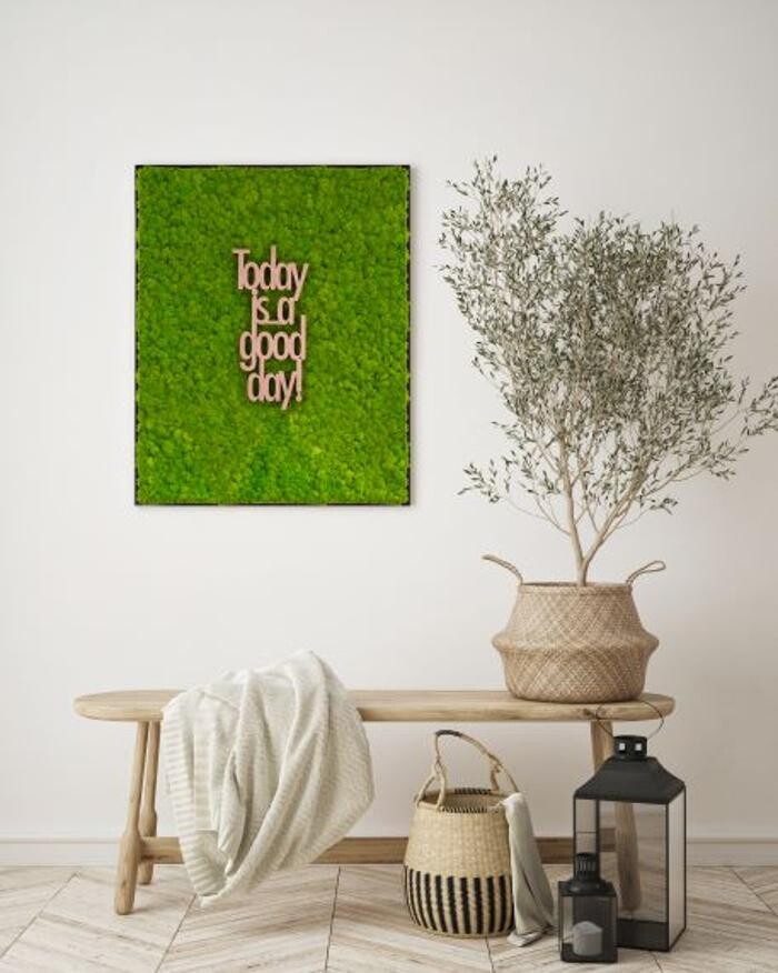 Bilder Strenz Living GmbH&Co.KG