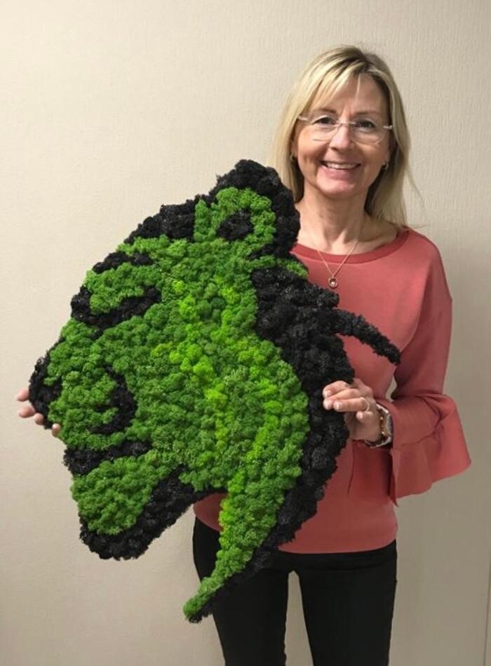 Bilder Strenz Living GmbH&Co.KG