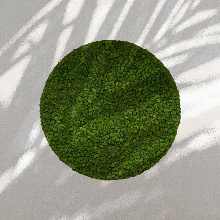 Bilder Strenz Living GmbH&Co.KG