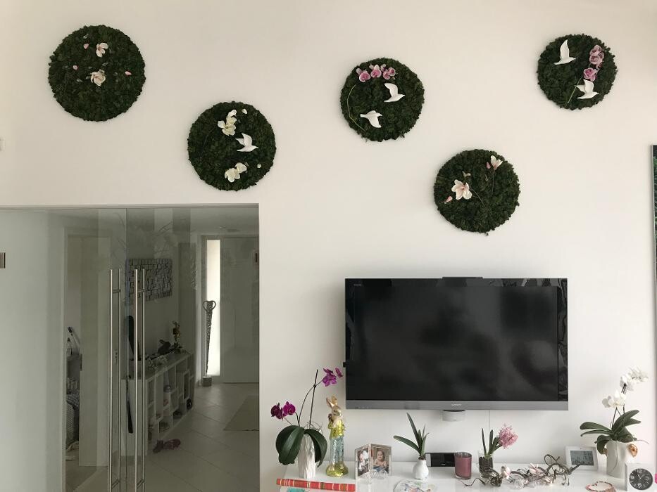 Bilder Strenz Living GmbH&Co.KG