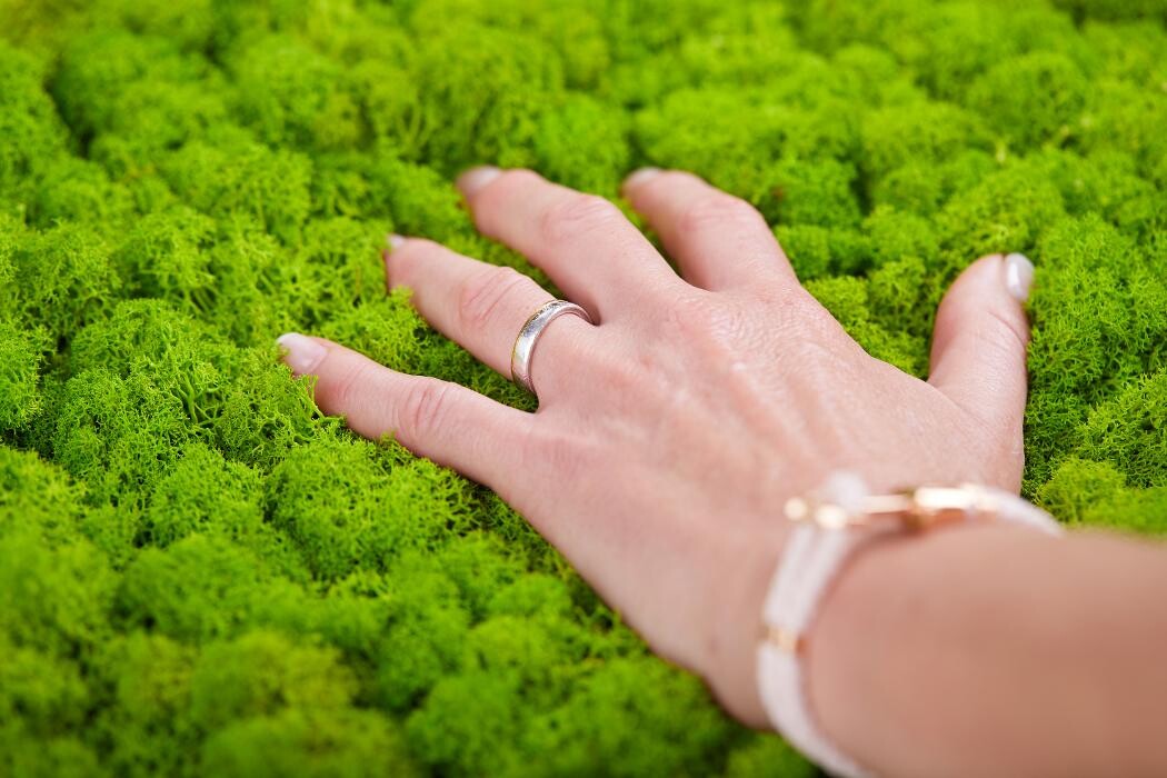 Bilder Strenz Living GmbH&Co.KG