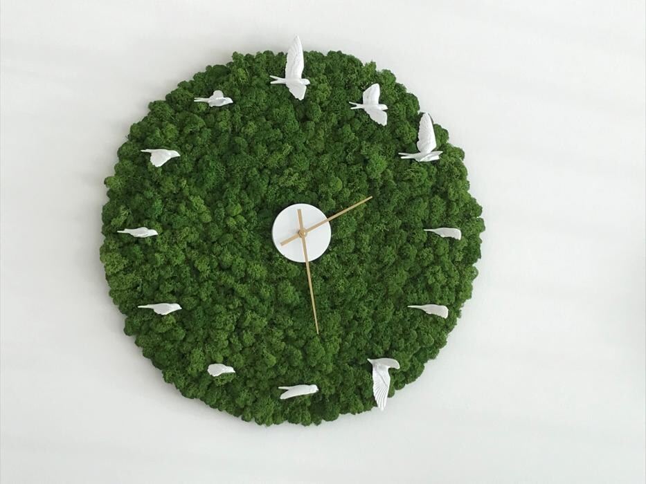 Bilder Strenz Living GmbH&Co.KG