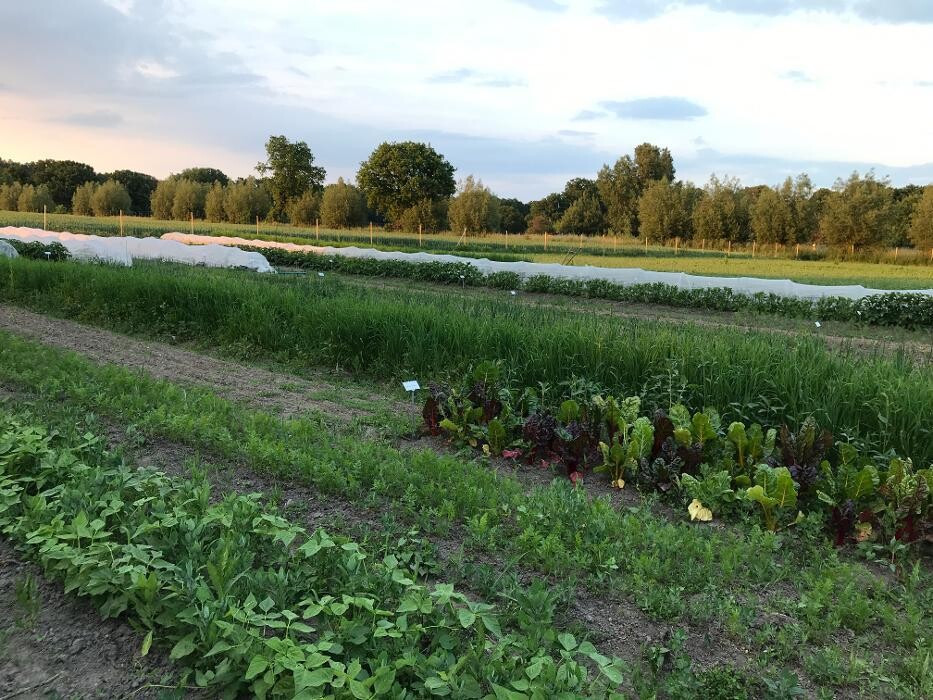 Bilder Eichdorfer Vielfaltsgarten