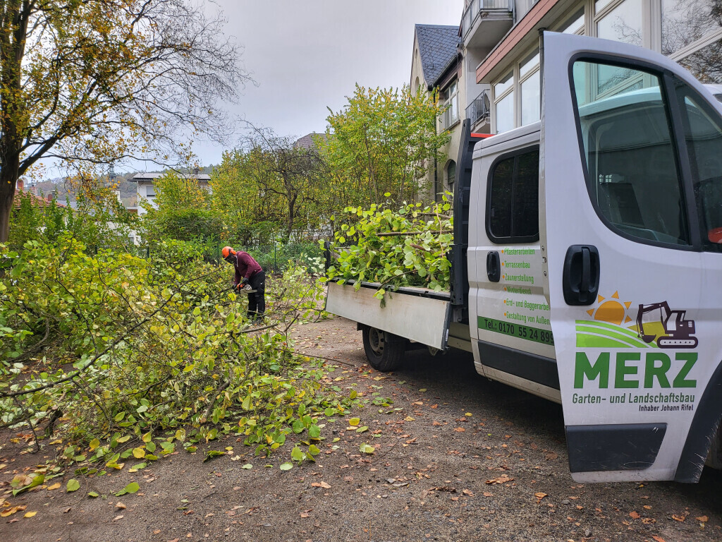 Bilder Garten und Landschaftsbau Merz