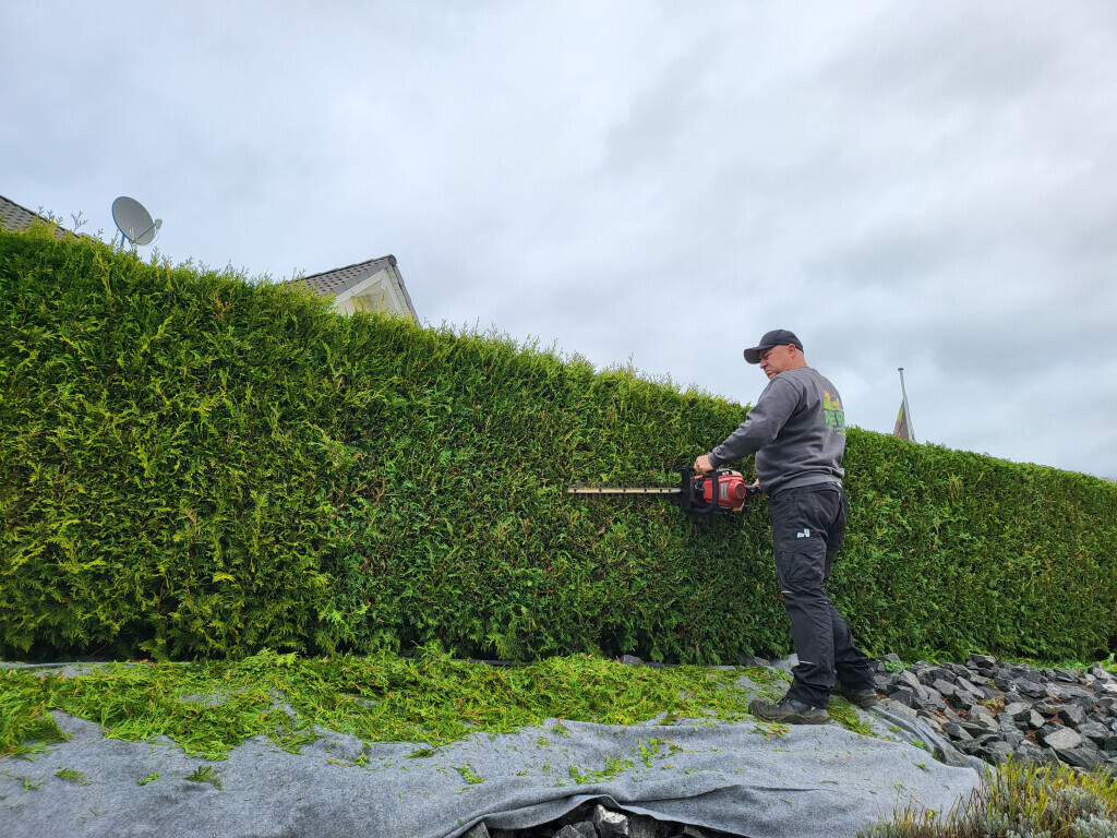 Bilder Garten und Landschaftsbau Merz