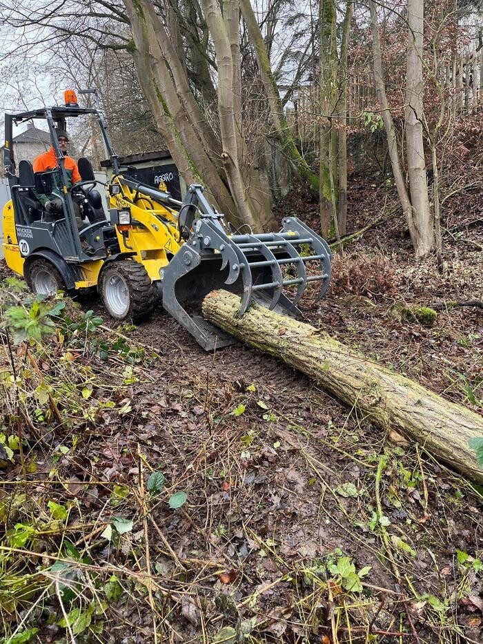 Bilder Gartenbau Schade