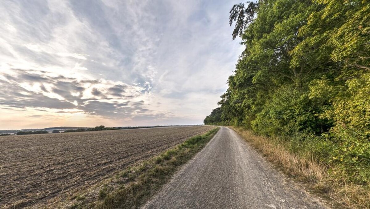 Bilder FriedWald Wolfenbüttel