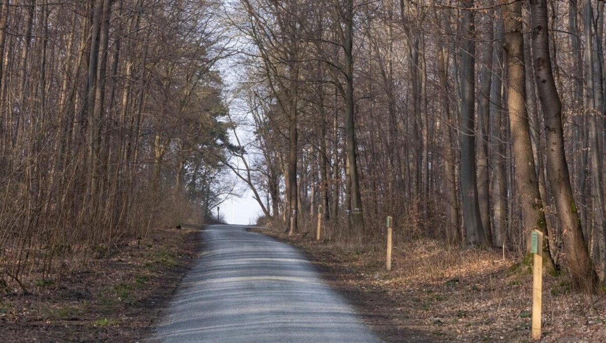 Bilder FriedWald Wolfenbüttel