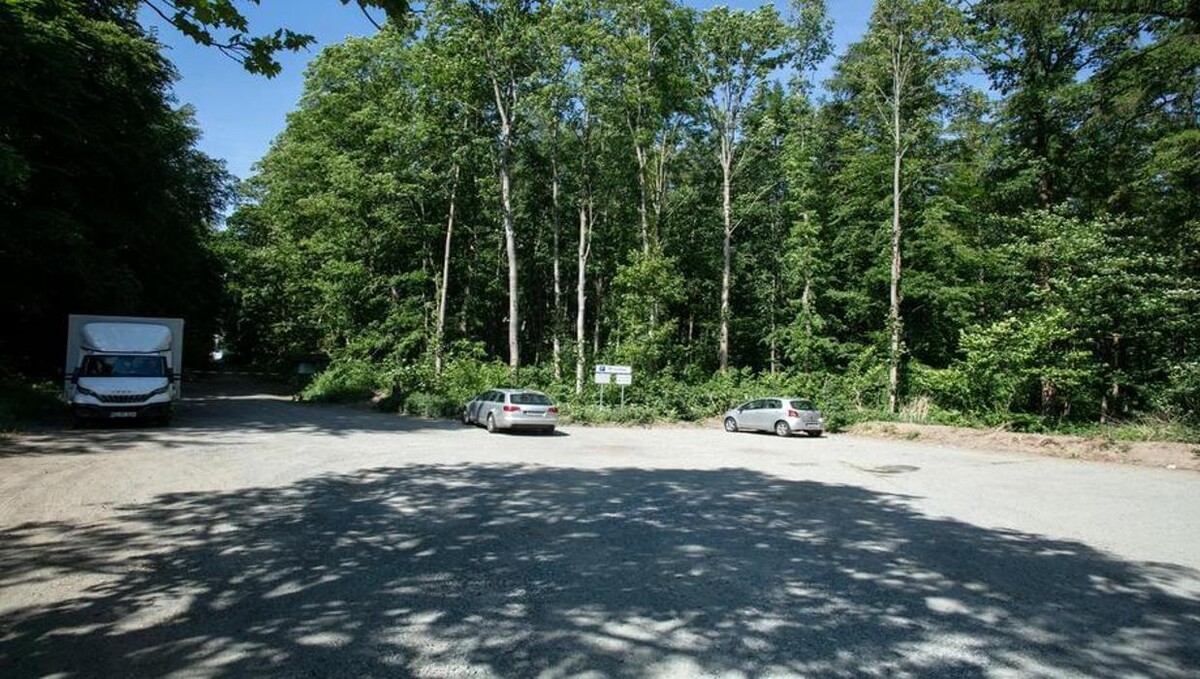 Bilder FriedWald Wolfenbüttel