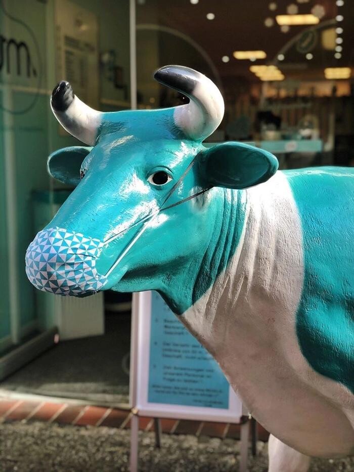 Bilder Eisbar MU Oldenburg
