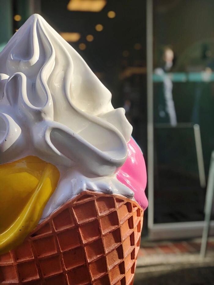 Bilder Eisbar MU Oldenburg