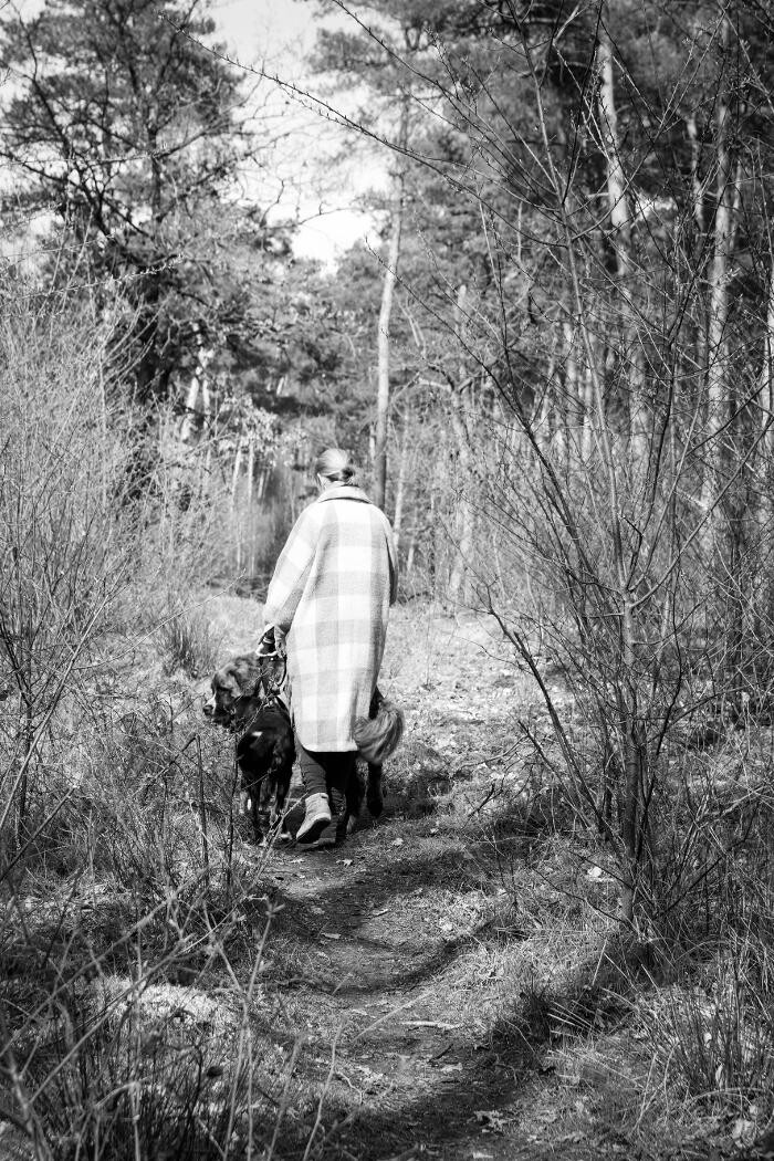 Bilder Hundeschule Pfotenklatsch