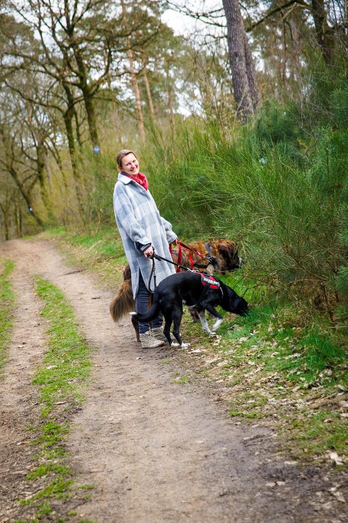 Bilder Hundeschule Pfotenklatsch
