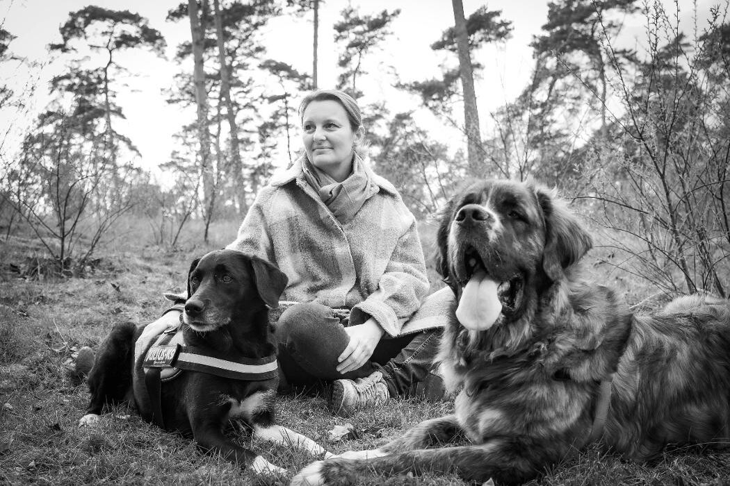 Bilder Hundeschule Pfotenklatsch