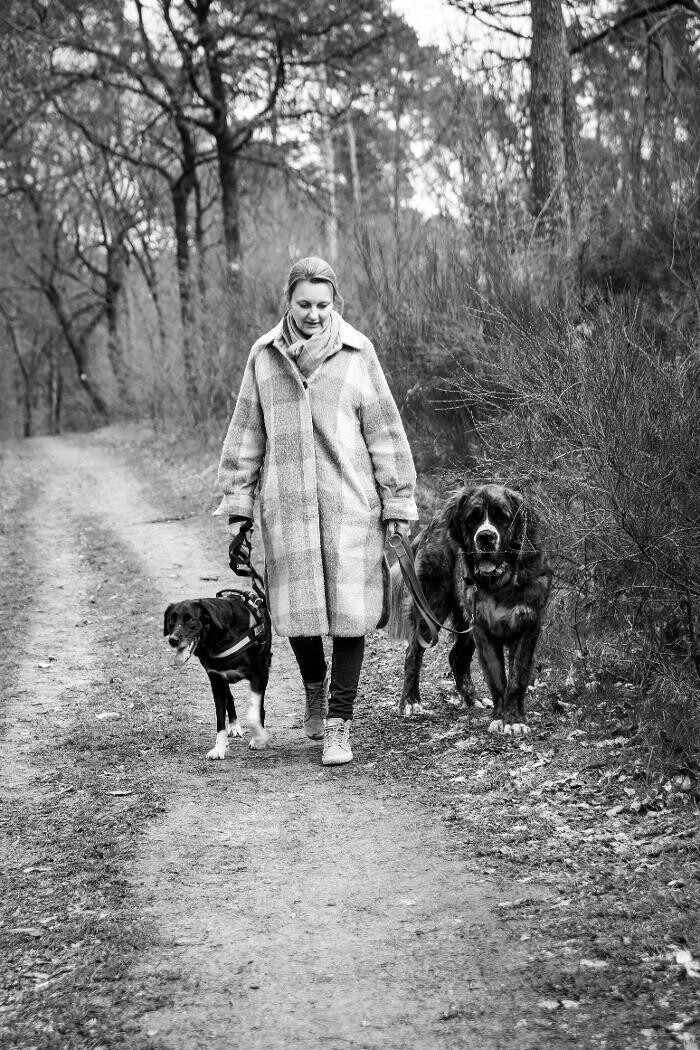 Bilder Hundeschule Pfotenklatsch