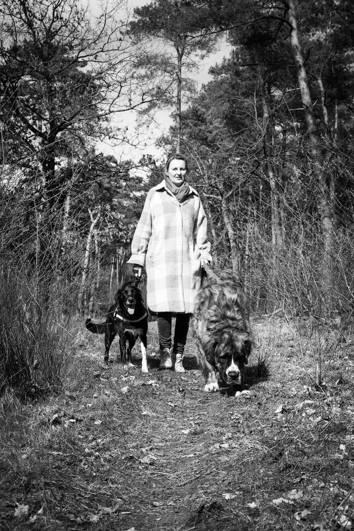 Bilder Hundeschule Pfotenklatsch