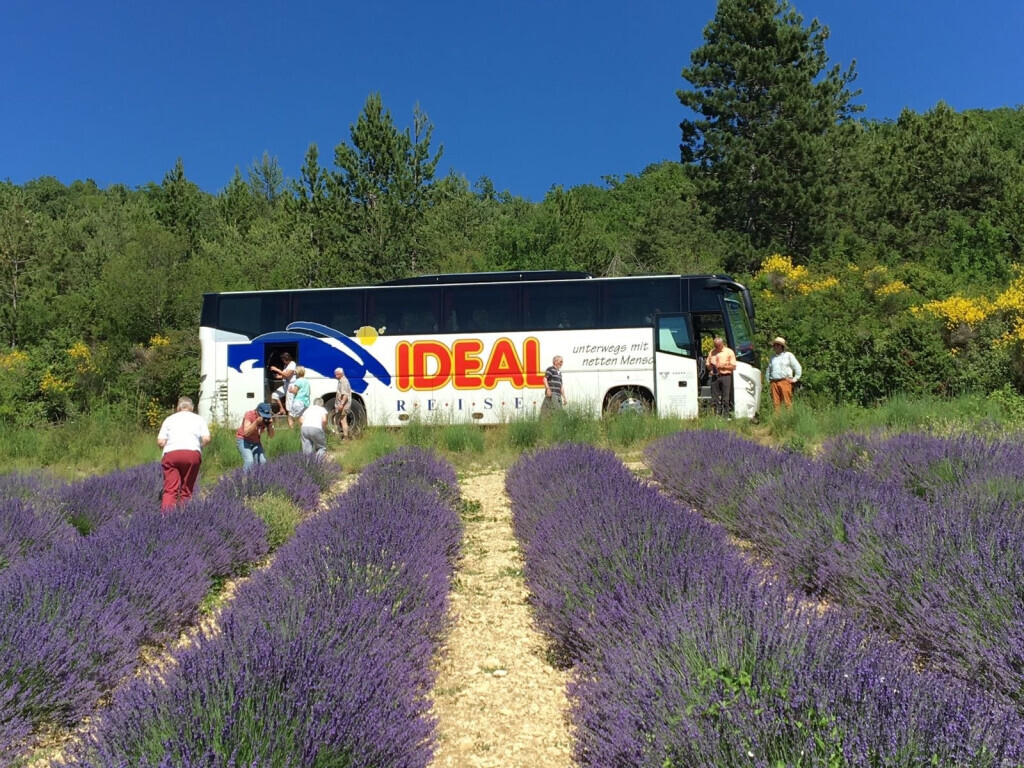 Bilder IDEAL REISEN - unterwegs mit netten Menschen