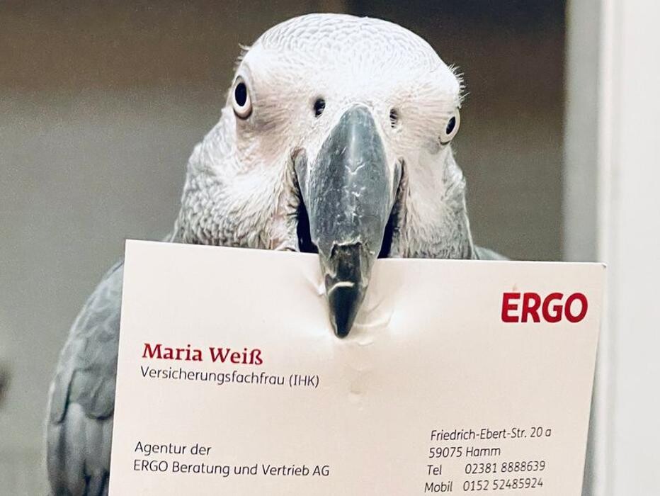Bilder ERGO Versicherung Maria Weiß