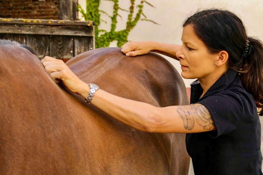 Bilder Tierosteopathie Nadja Wölfle
