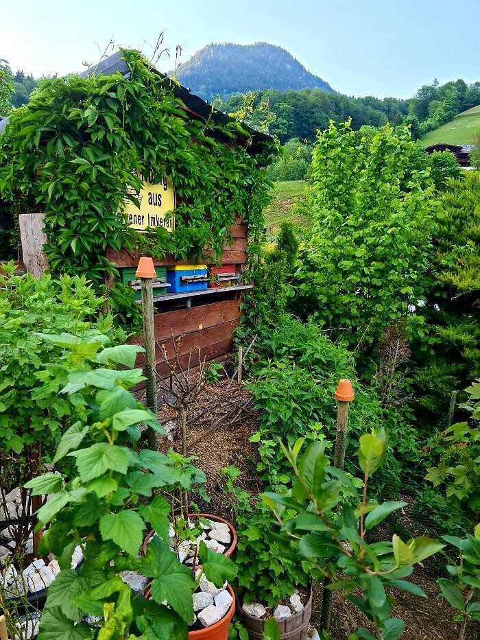 Bilder Andi's Tier- & Pflanzenwelt