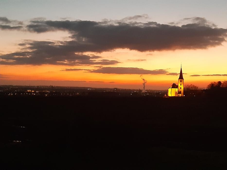 Bilder Weingut Rebenhof