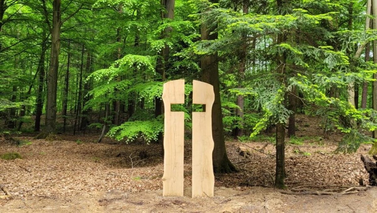 Bilder FriedWald Cloppenburg