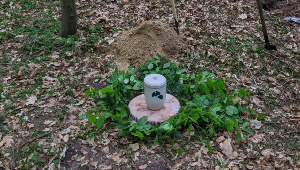 Bilder FriedWald Cloppenburg