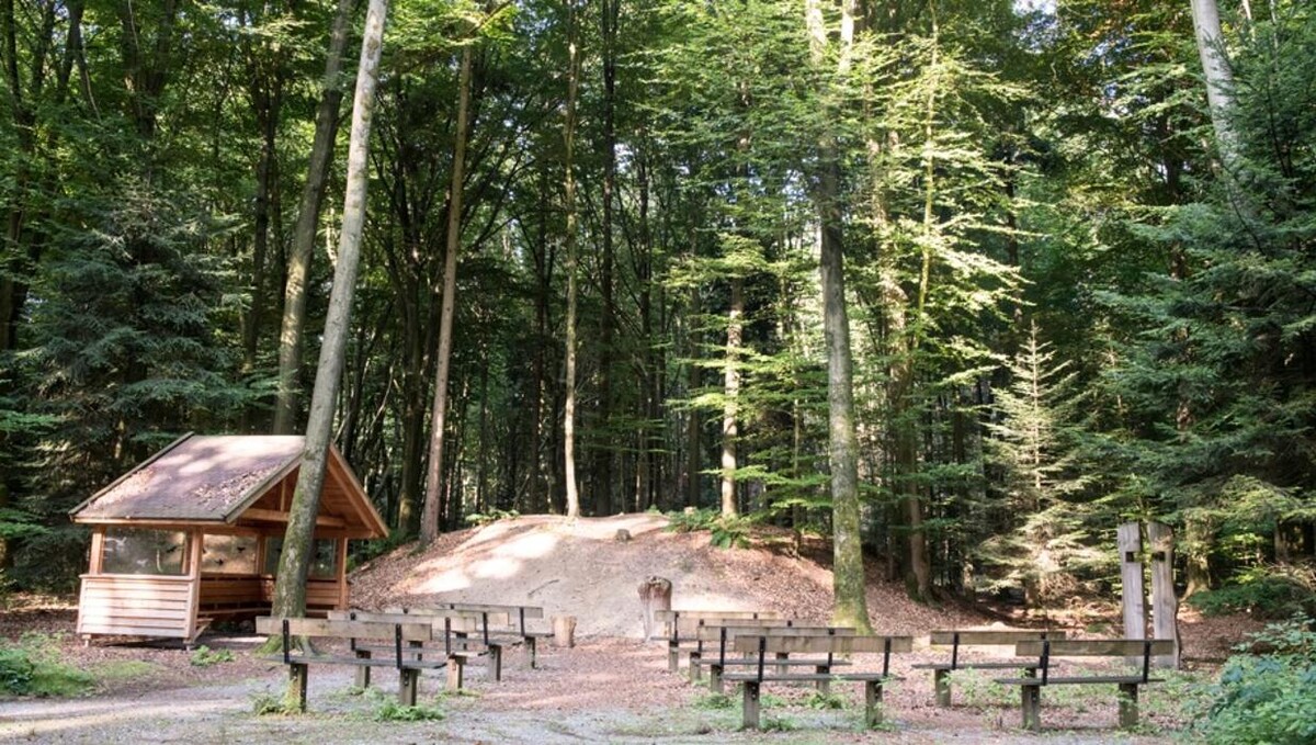 Bilder FriedWald Cloppenburg