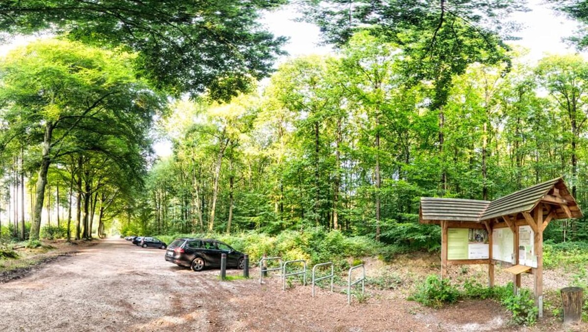 Bilder FriedWald Cloppenburg