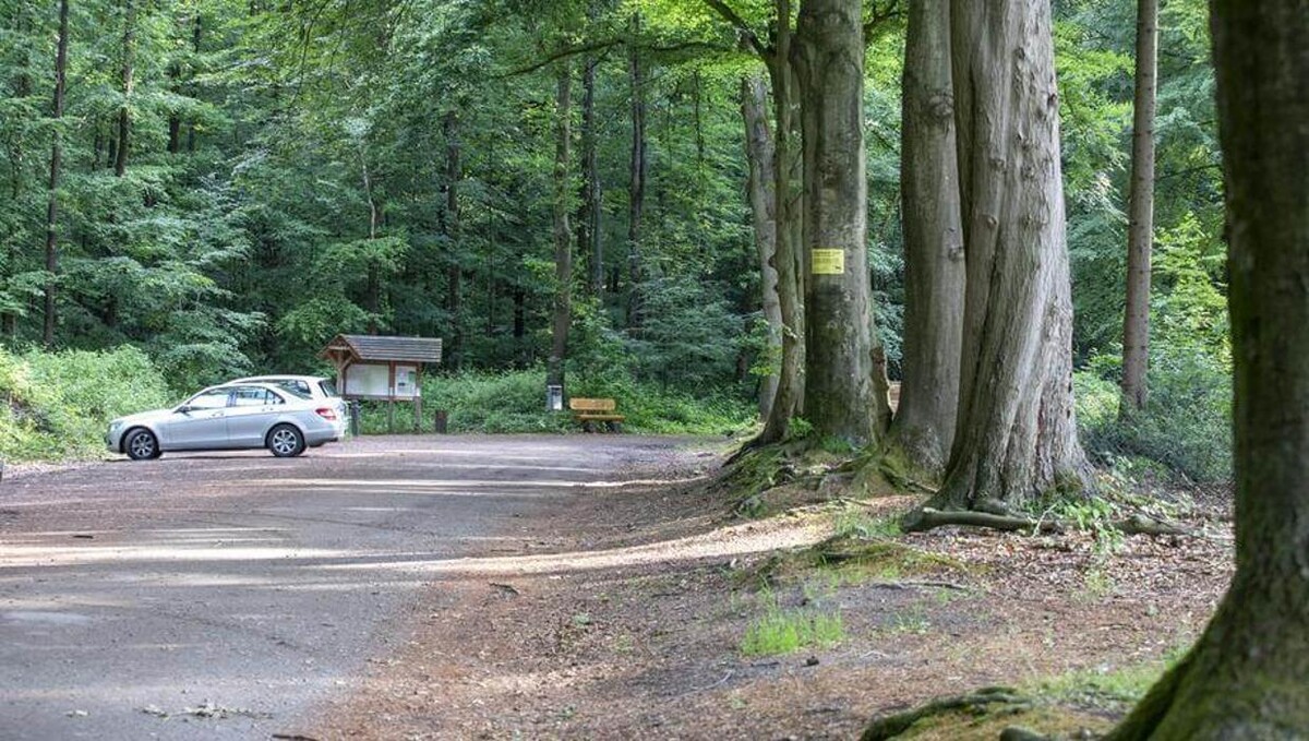 Bilder FriedWald Cloppenburg