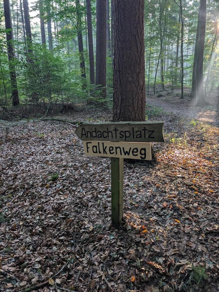 Bilder FriedWald Cloppenburg