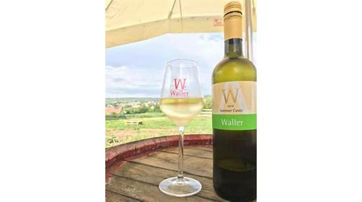 Bilder Weingut Waller