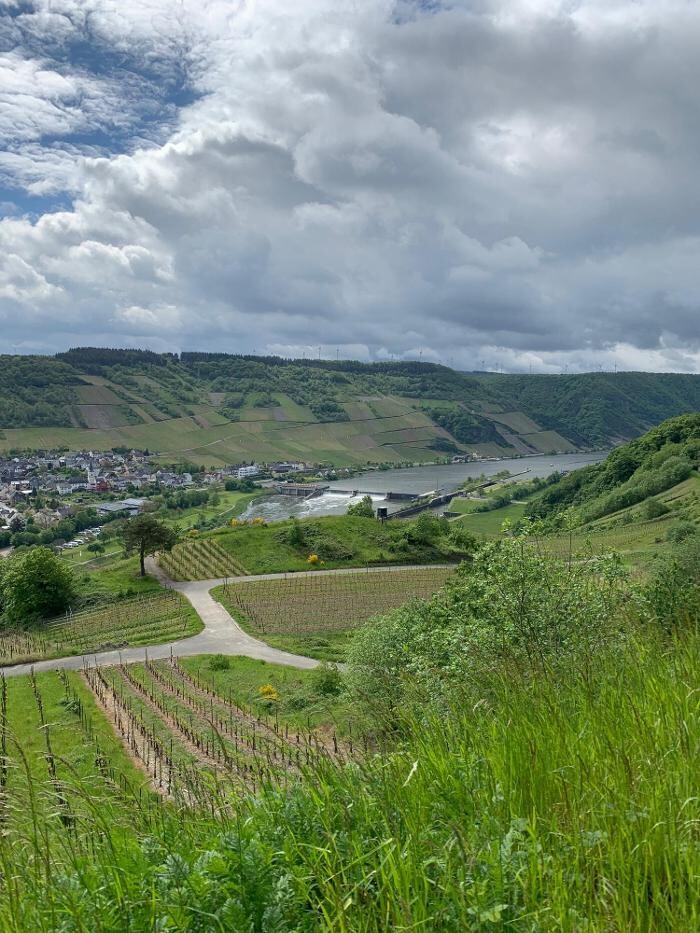 Bilder Weingut Sanders & Sanders | Mosel
