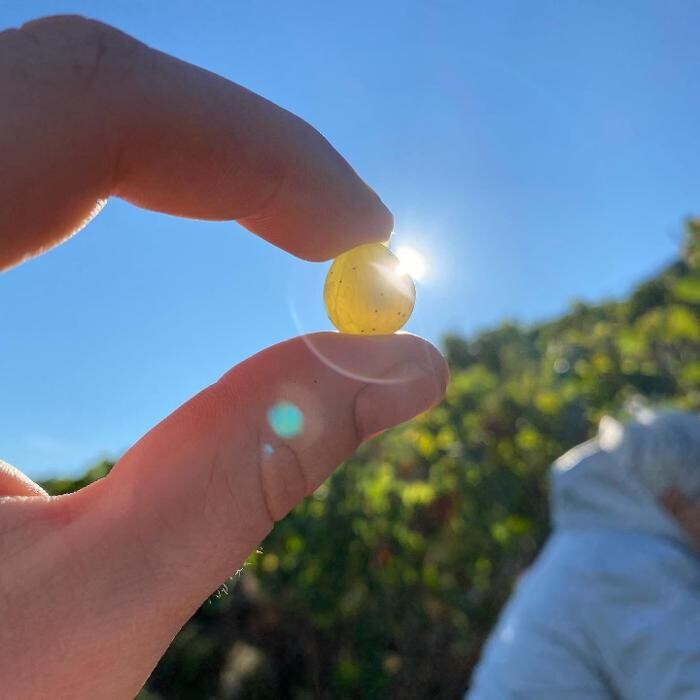 Bilder Weingut Sanders & Sanders | Mosel