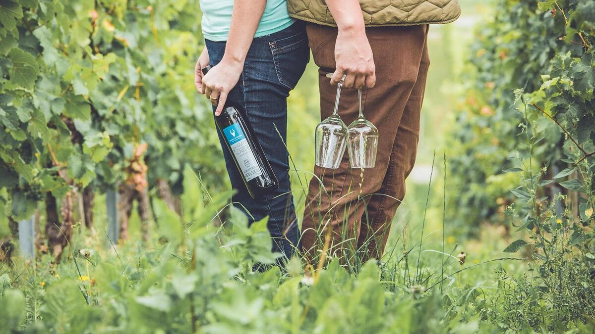 Bilder Weingut Sanders & Sanders | Mosel