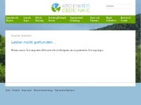 Website Screenshot Evangelische Kirche Bärenbach - Ev. Kirchengemeinde Fischbach-Kirn-Sulzbach