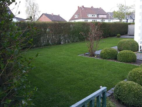 Bilder Rollrasen Kahl