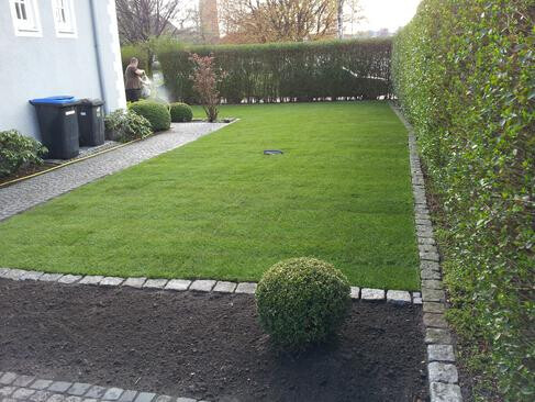 Bilder Rollrasen Kahl