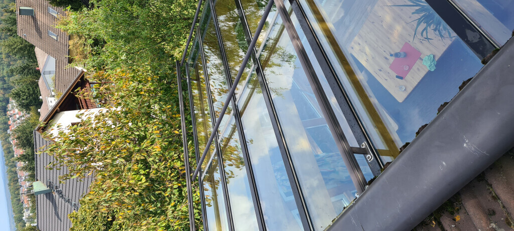 Bilder PROCTES Reinigungsservice