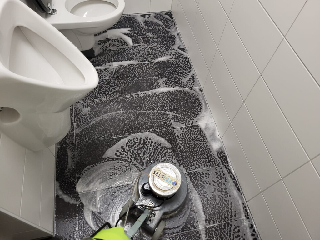 Bilder PROCTES Reinigungsservice