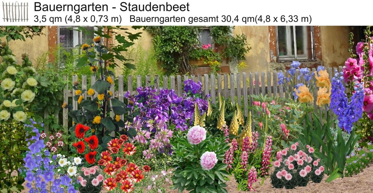 Bilder Staudenpracht