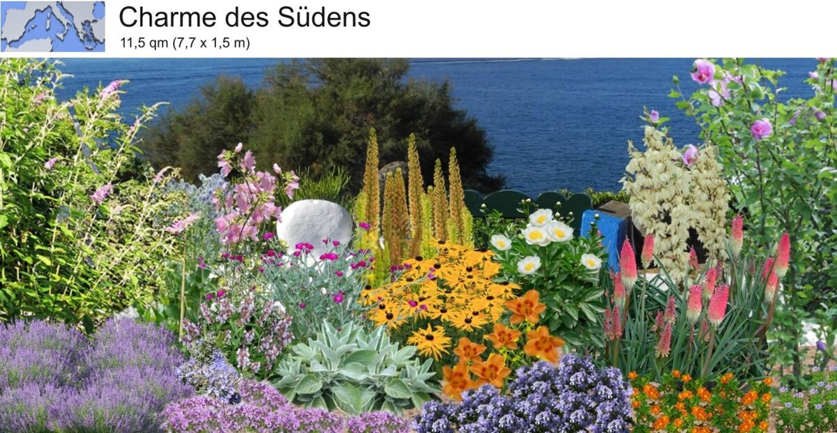 Bilder Staudenpracht