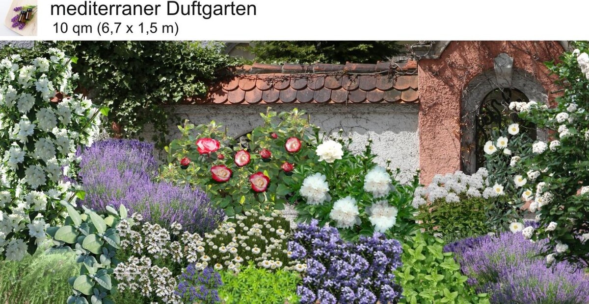 Bilder Staudenpracht