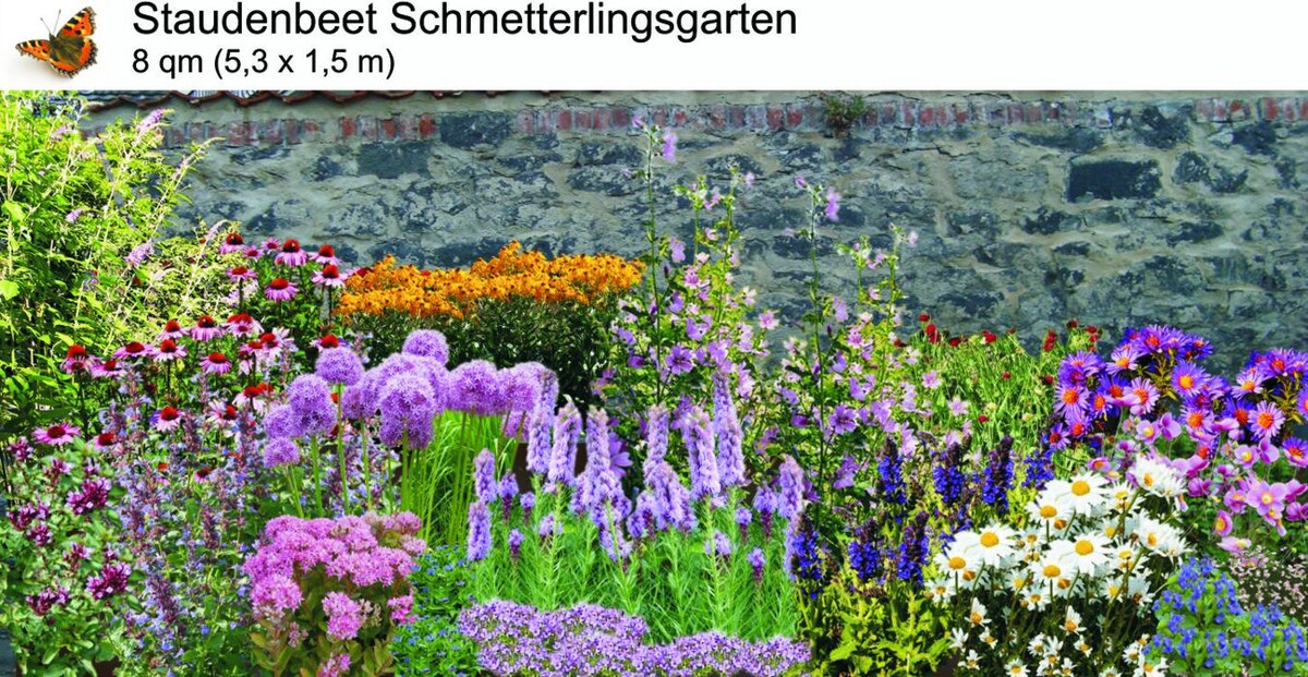 Bilder Staudenpracht