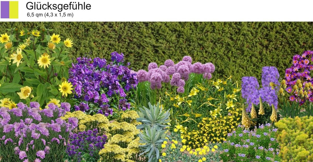 Bilder Staudenpracht