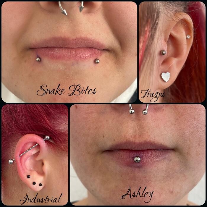 Bilder Line Tattoo & Piercing Heilbronn