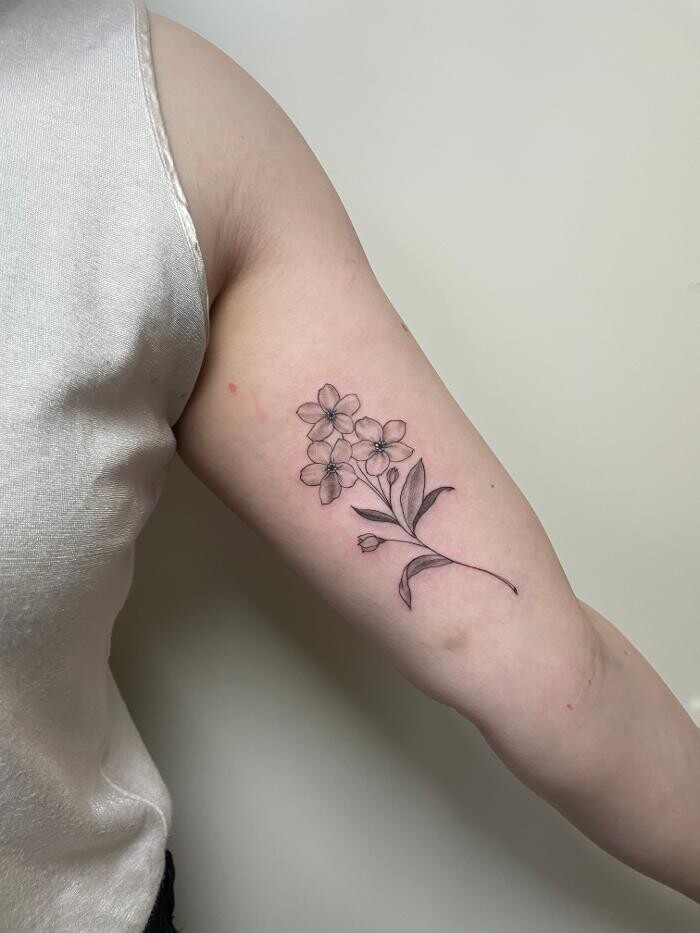 Bilder Line Tattoo & Piercing Heilbronn